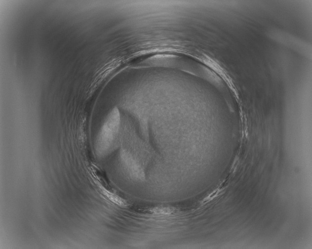 X0000052570105200507081712