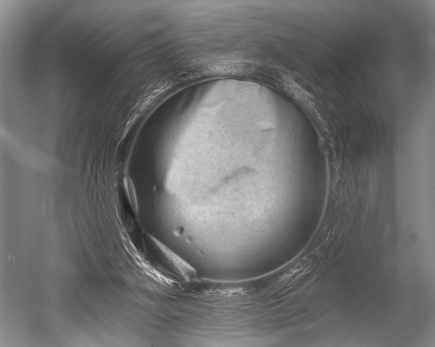 X0000052570106200507081712