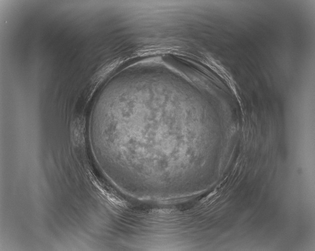 X0000052570107200507081712