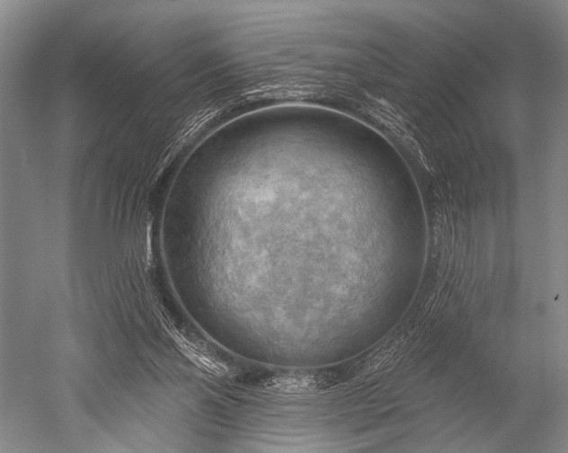 X0000052570110200507081712