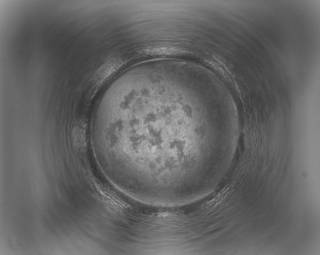 X0000052570111200507081712