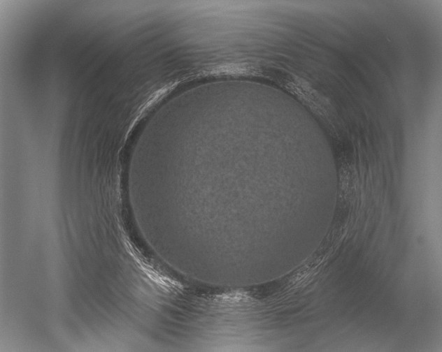 X0000052570112200507081712