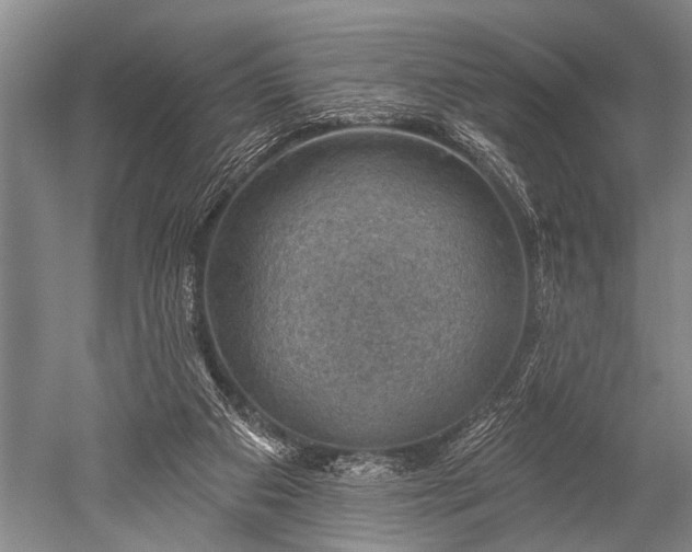 X0000052570113200507081712