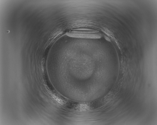 X0000052570114200507081712