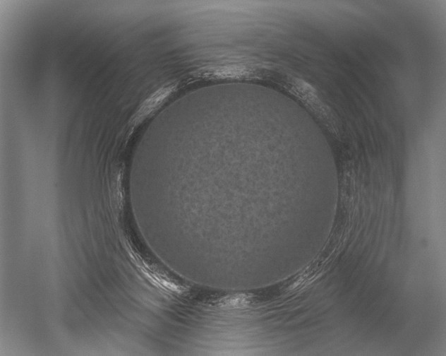 X0000052570116200507081712