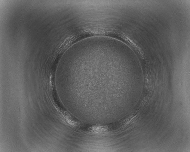 X0000052570117200507081712