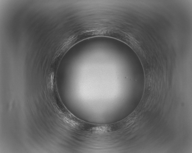 X0000052570118200507081712