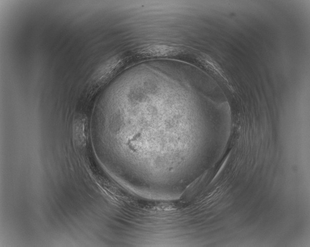 X0000052570119200507081712