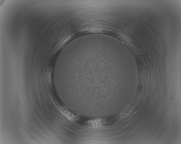 X0000052570120200507081712