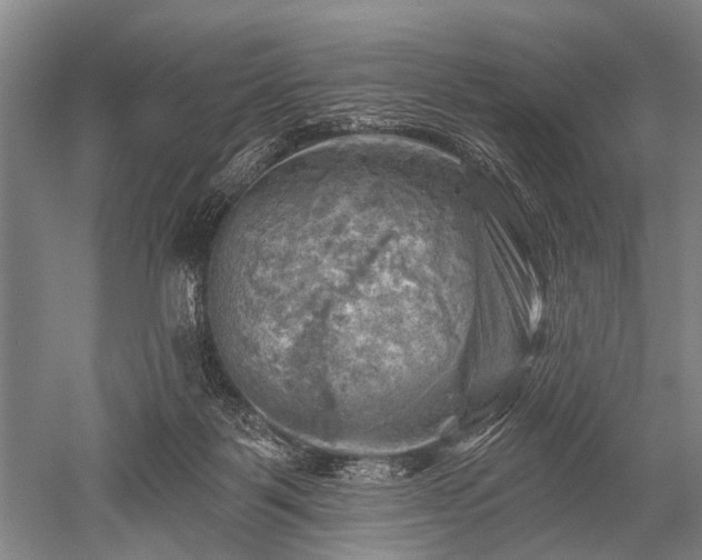 X0000052570123200507081712