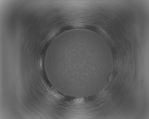 X0000052570124200507081712