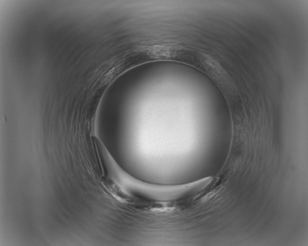 X0000052570125200507081712