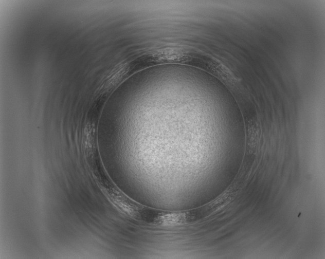 X0000052570126200507081712