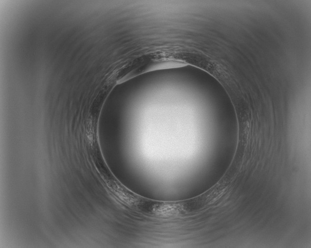 X0000052570129200507081712