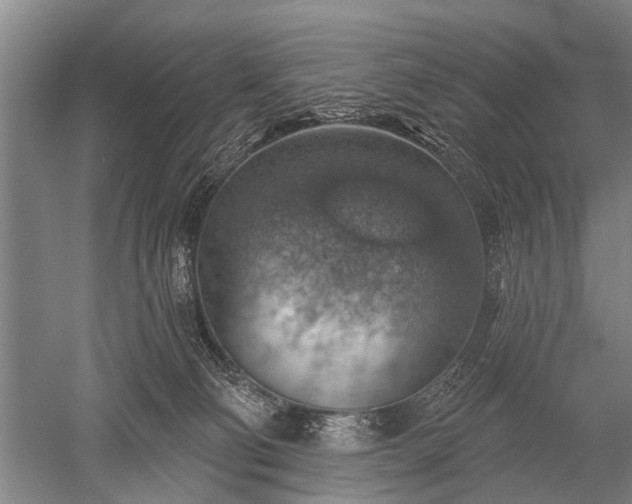 X0000052570130200507081712