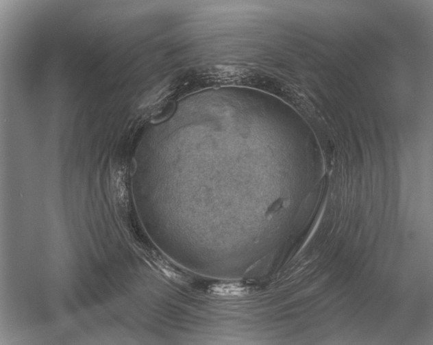 X0000052570131200507081712