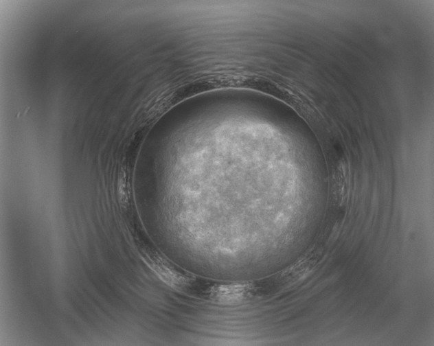 X0000052570134200507081711