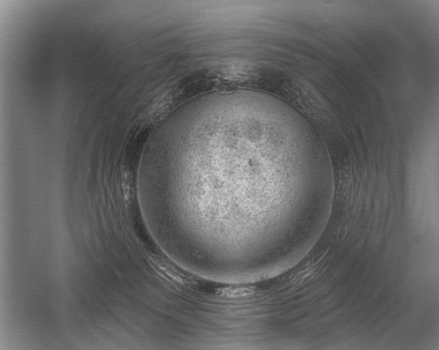 X0000052570135200507081711