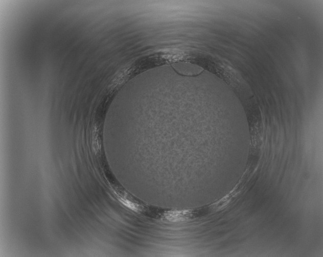 X0000052570136200507081711