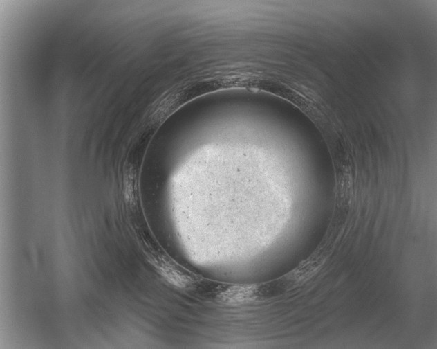 X0000052570138200507081711