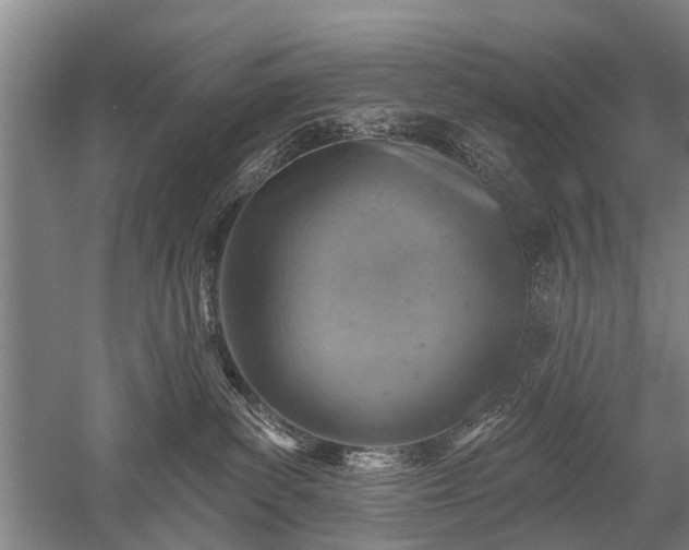 X0000052570139200507081711