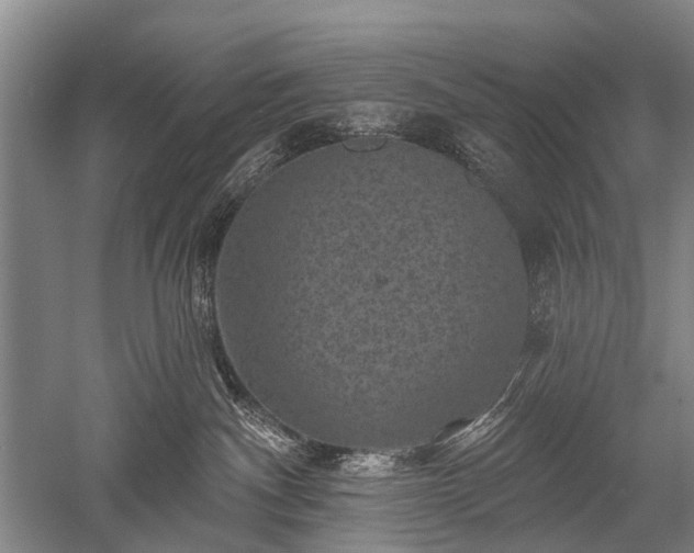 X0000052570140200507081711