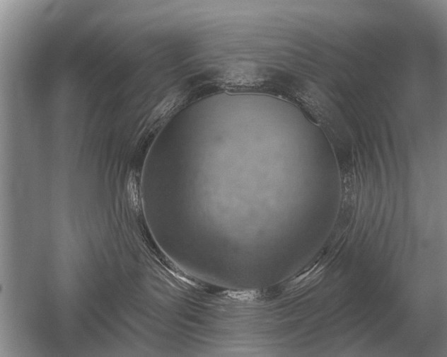 X0000052570143200507081711