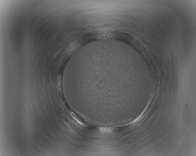 X0000052570144200507081711