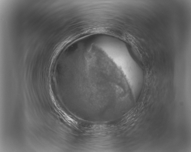 X0000052570145200507081710