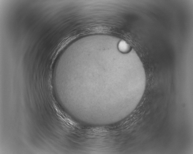 X0000052570146200507081711