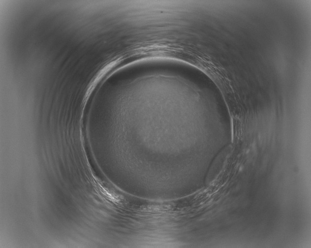 X0000052570147200507081711