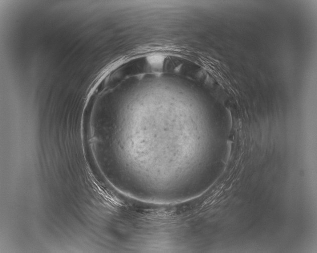 X0000052570148200507081711