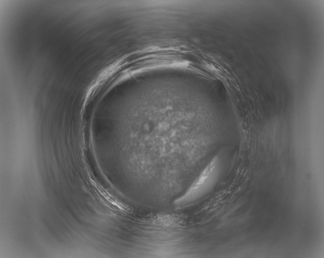 X0000052570149200507081711