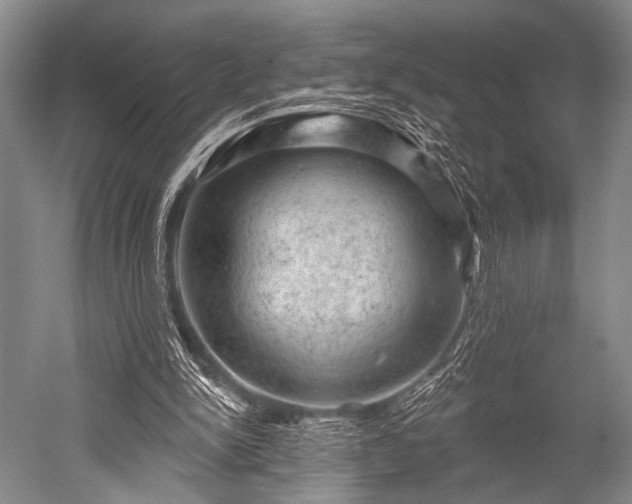 X0000052570150200507081711