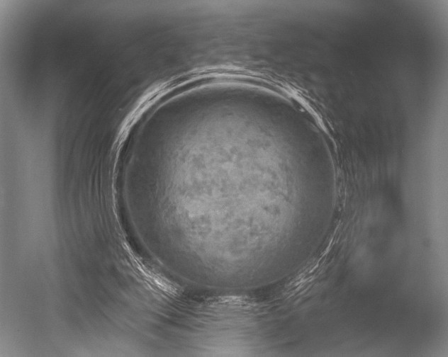 X0000052570151200507081711