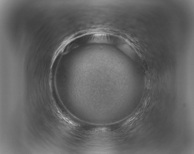 X0000052570152200507081711