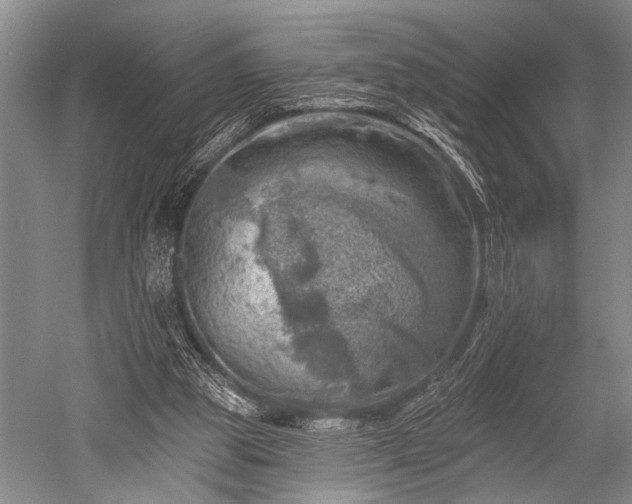 X0000052570153200507081711