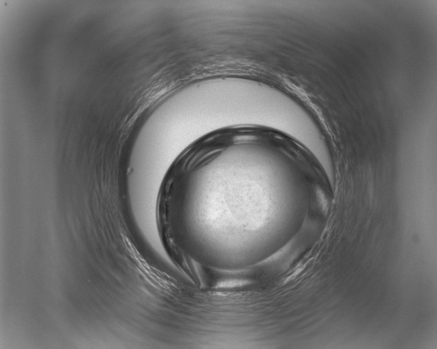 X0000052570154200507081711