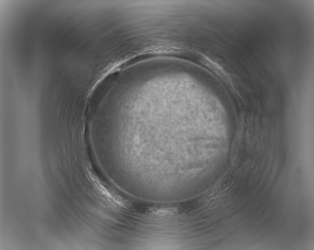 X0000052570155200507081711