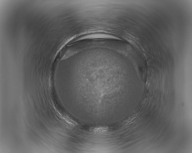 X0000052570156200507081711