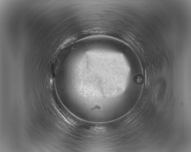 X0000052570157200507081711