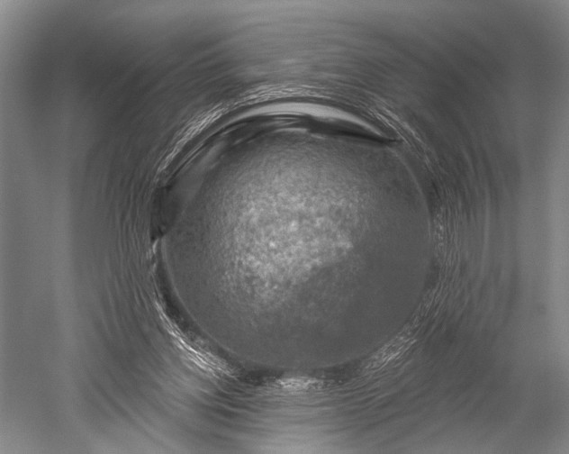 X0000052570158200507081711