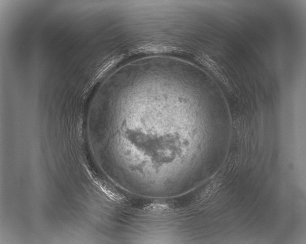 X0000052570159200507081711