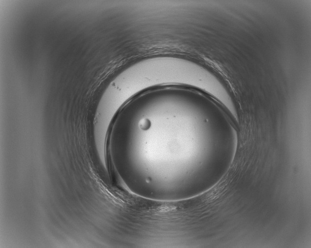 X0000052570162200507081711