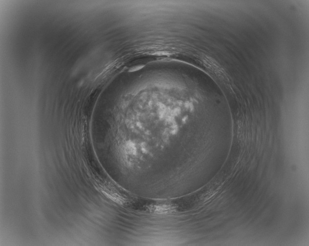 X0000052570165200507081711