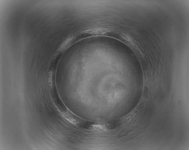 X0000052570167200507081711