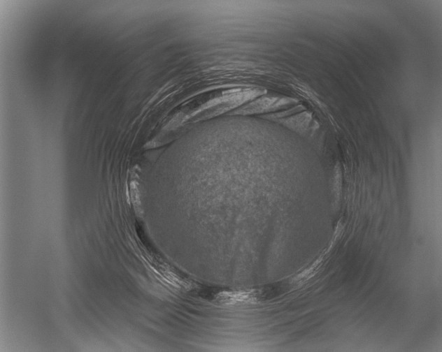 X0000052570170200507081711