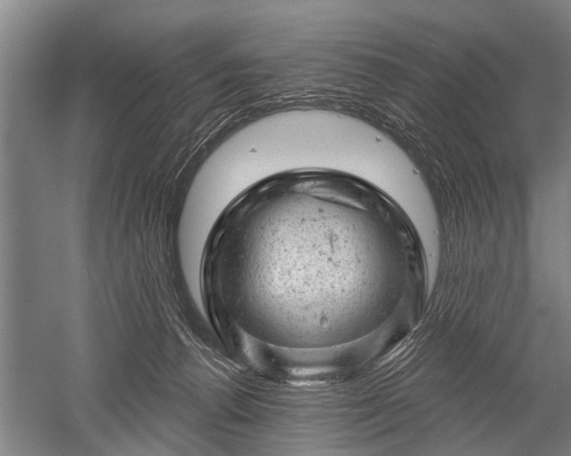 X0000052570176200507081711