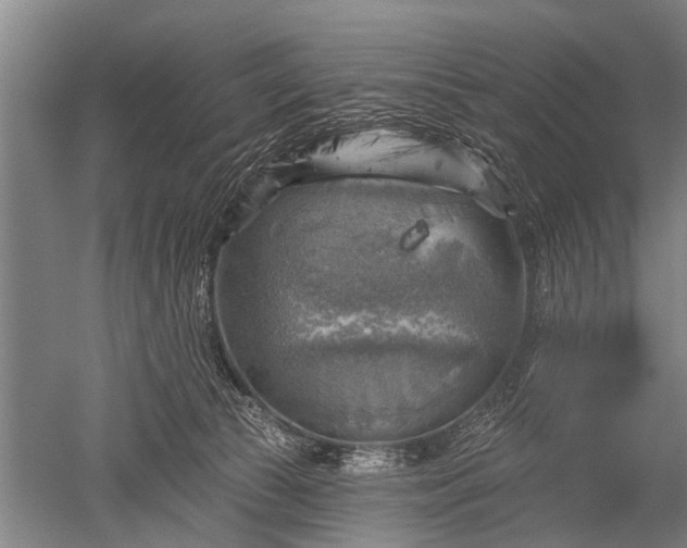 X0000052570177200507081711