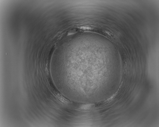 X0000052570178200507081711